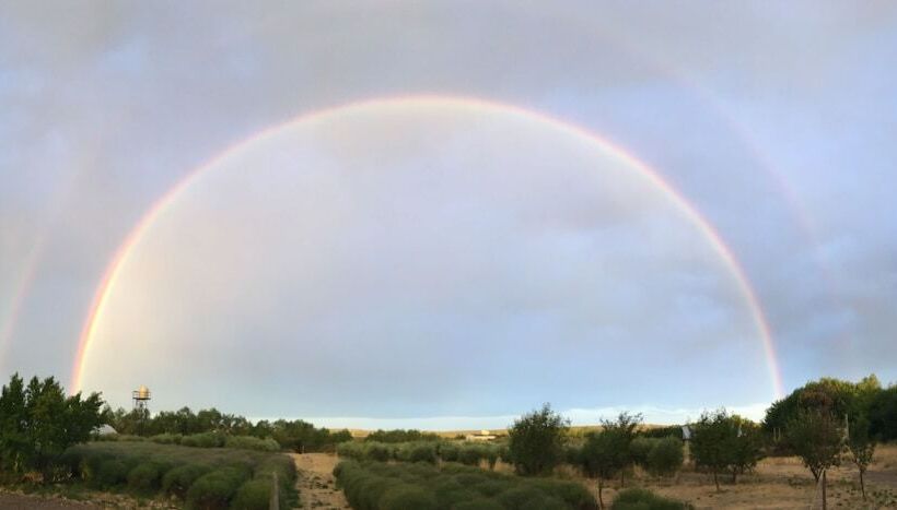 Chacra La Calandria B&b
