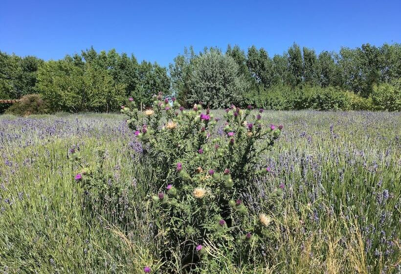 Chacra La Calandria B&b