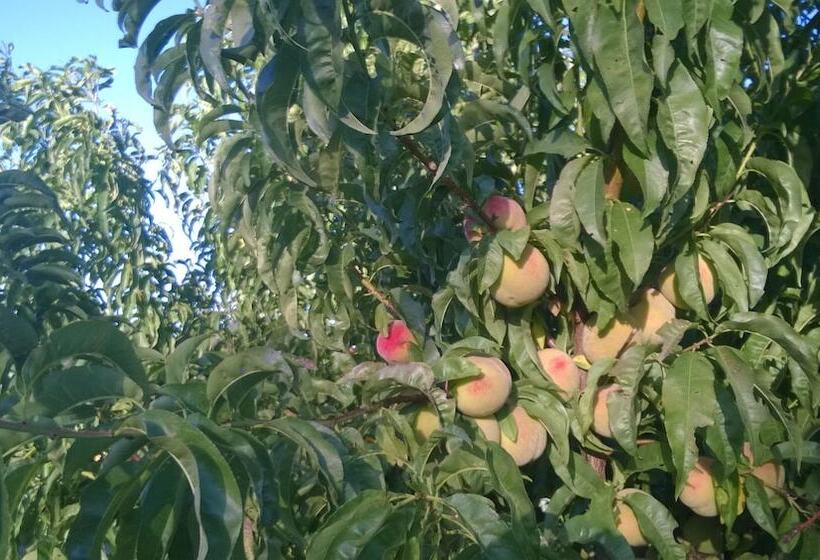 Chacra La Calandria B&b