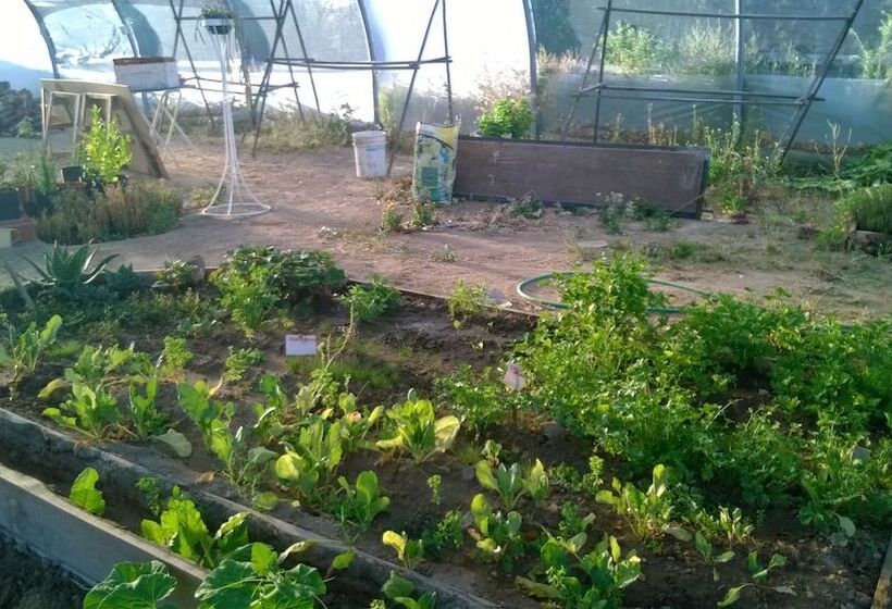 Chacra La Calandria B&b