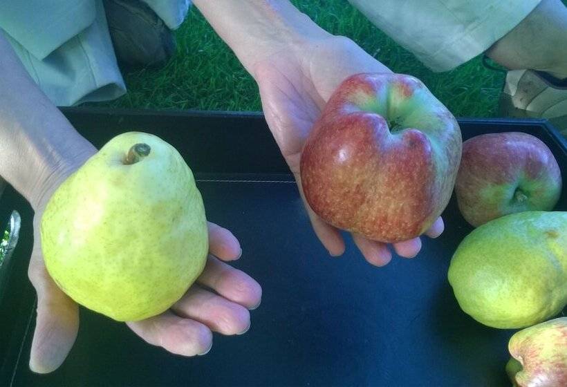 Chacra La Calandria B&b