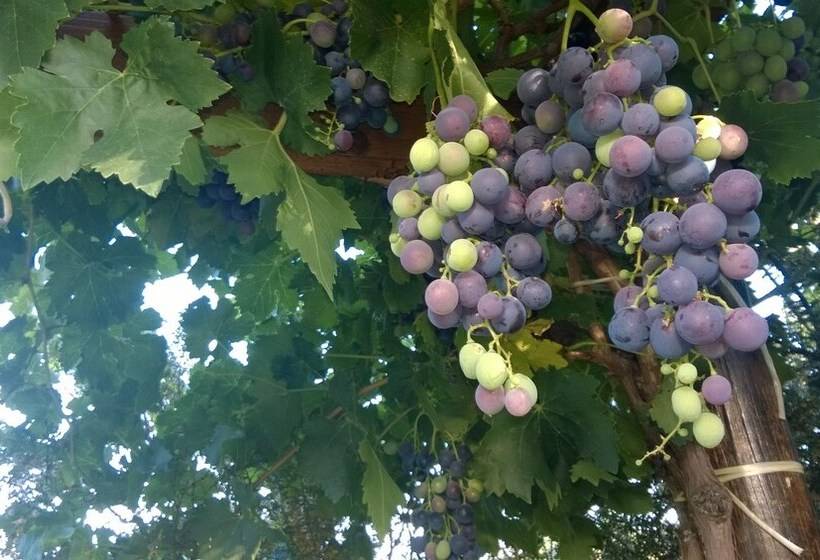 Chacra La Calandria B&b