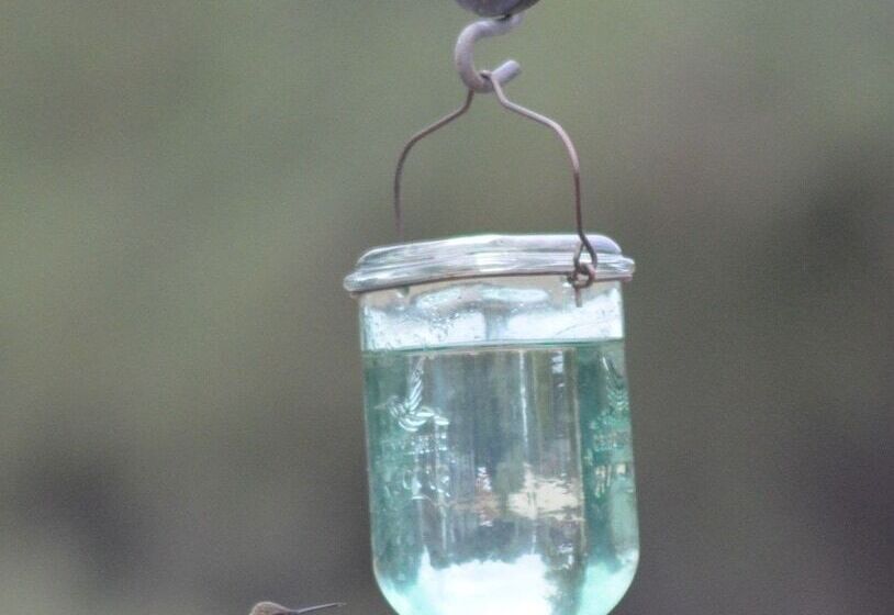 Cowboys And Angels Retreat