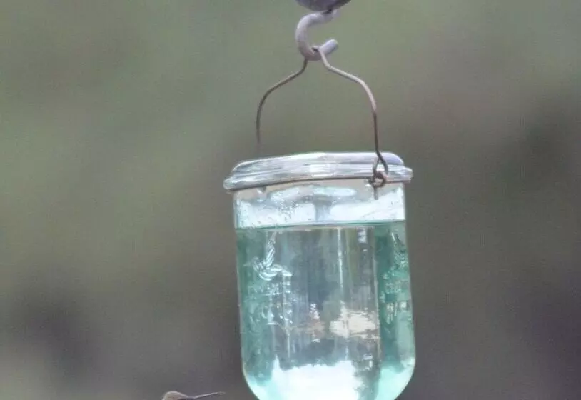 Cowboys And Angels Retreat