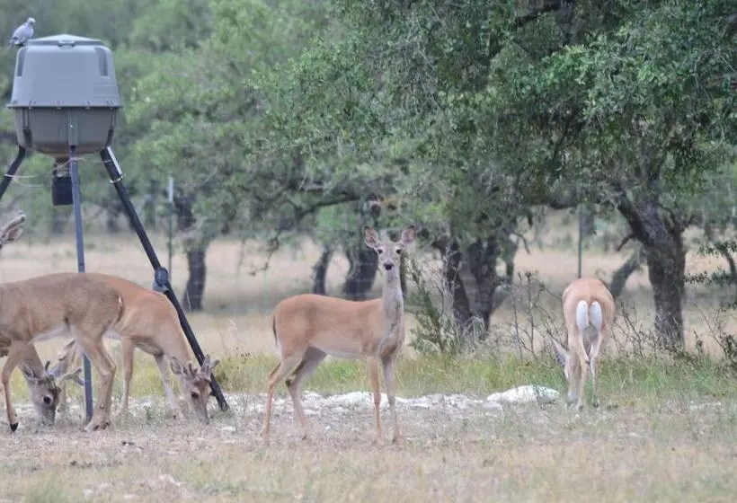 Cowboys And Angels Retreat