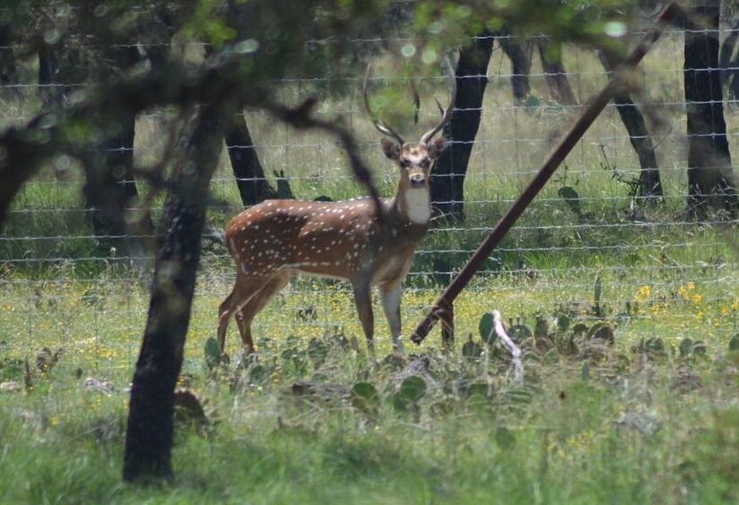 Cowboys And Angels Retreat