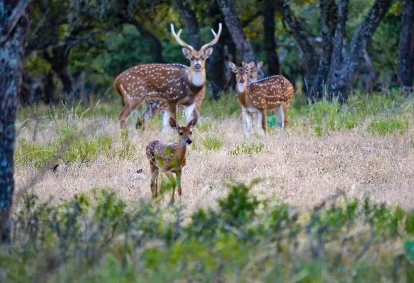 Cowboys And Angels Retreat