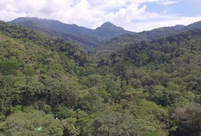 فندق La Musa Verde