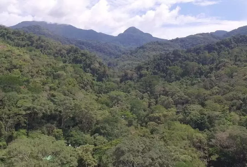 هتل La Musa Verde