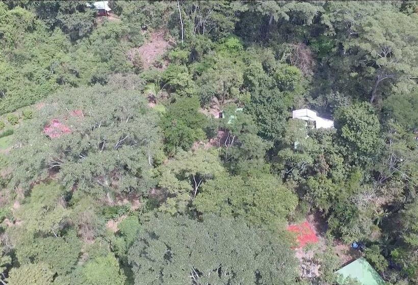 فندق La Musa Verde