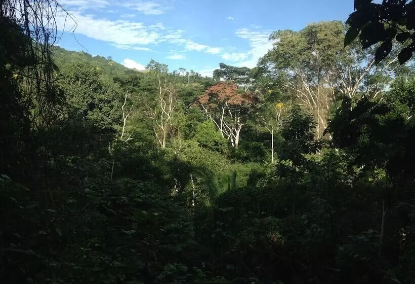 هتل La Musa Verde