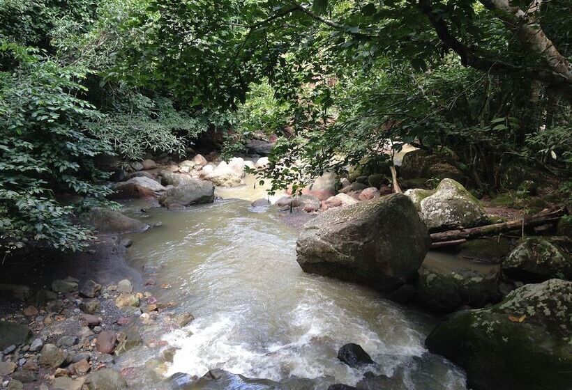 فندق La Musa Verde