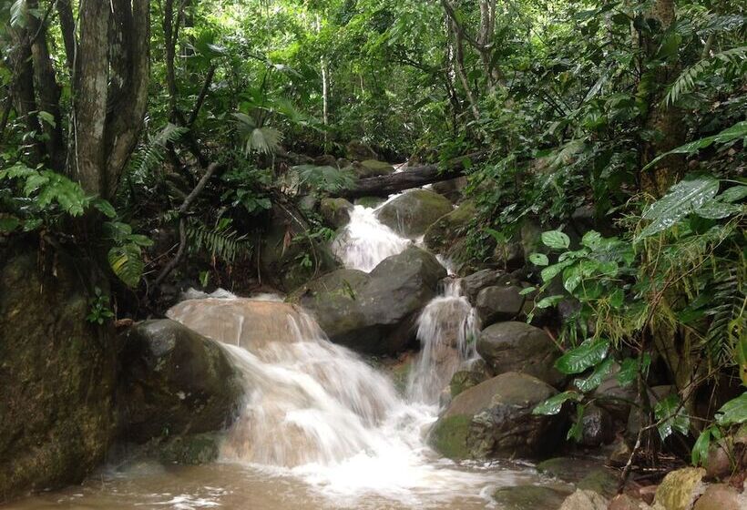 فندق La Musa Verde