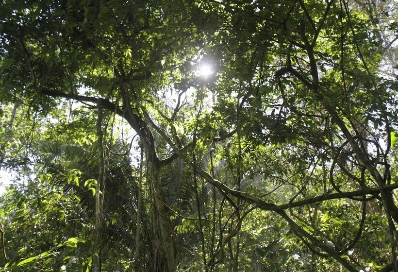 فندق La Musa Verde