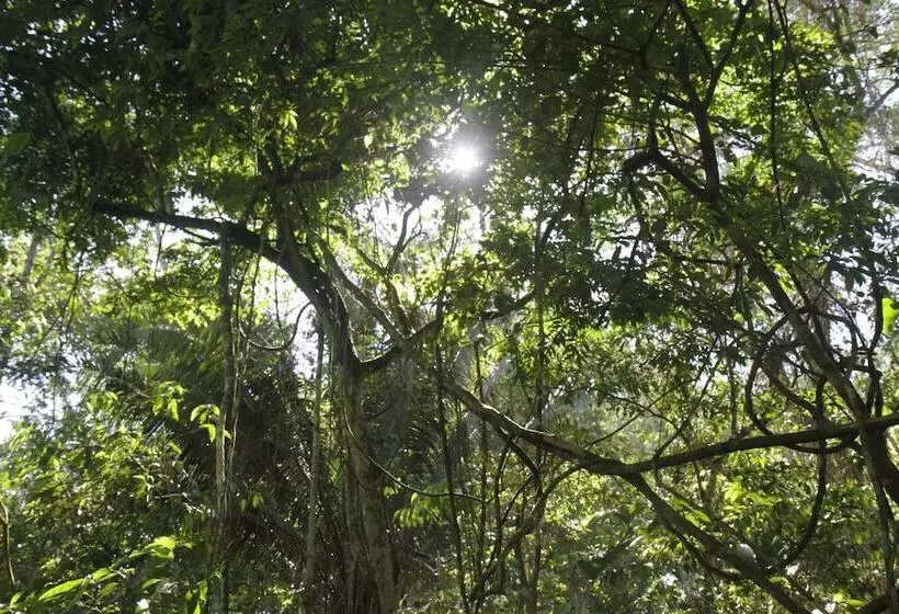 هتل La Musa Verde