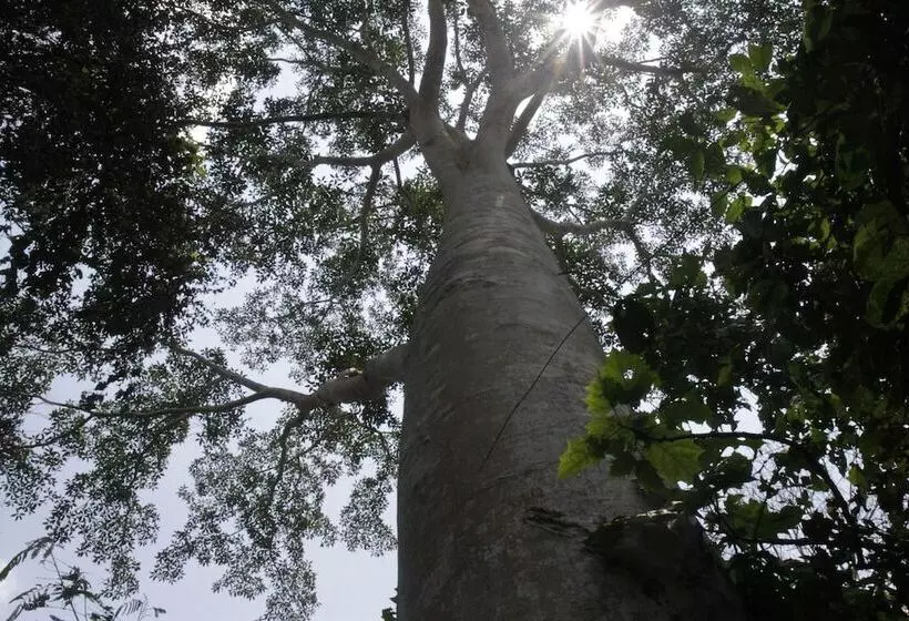 هتل La Musa Verde