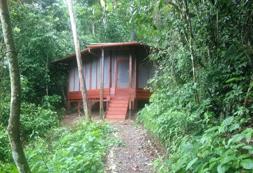هتل La Musa Verde