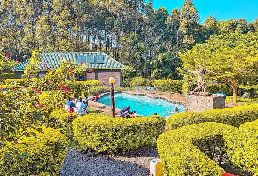 هتل Lodge Bellavista