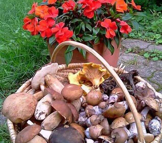 Отель Lodge Hôtel Domaine De Sommedieue