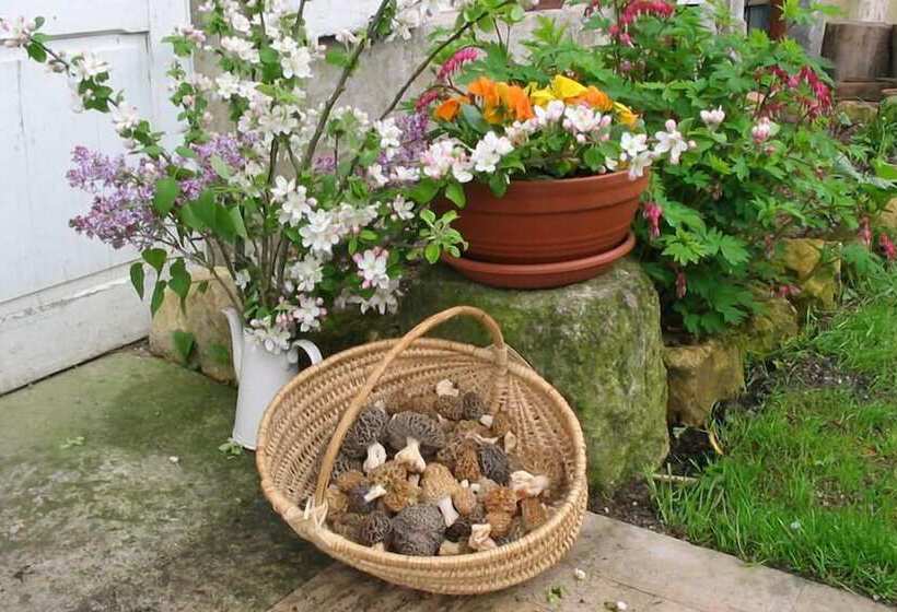 Отель Lodge Hôtel Domaine De Sommedieue