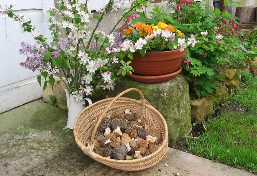 Hotelli Lodge Hôtel Domaine De Sommedieue