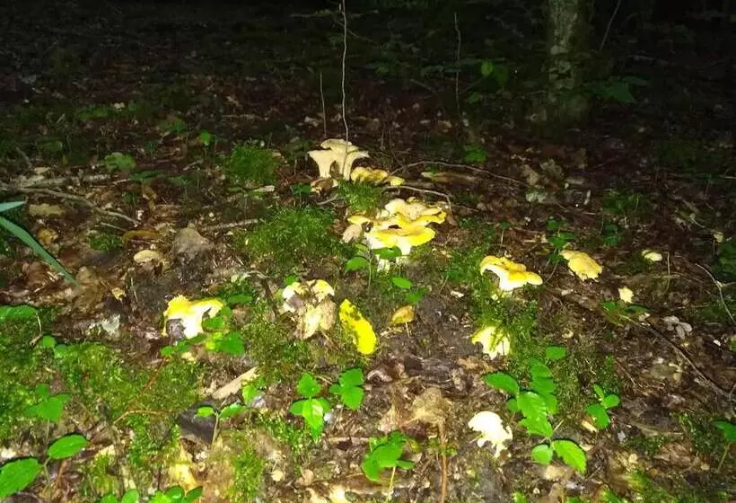 Hotelli Lodge Hôtel Domaine De Sommedieue