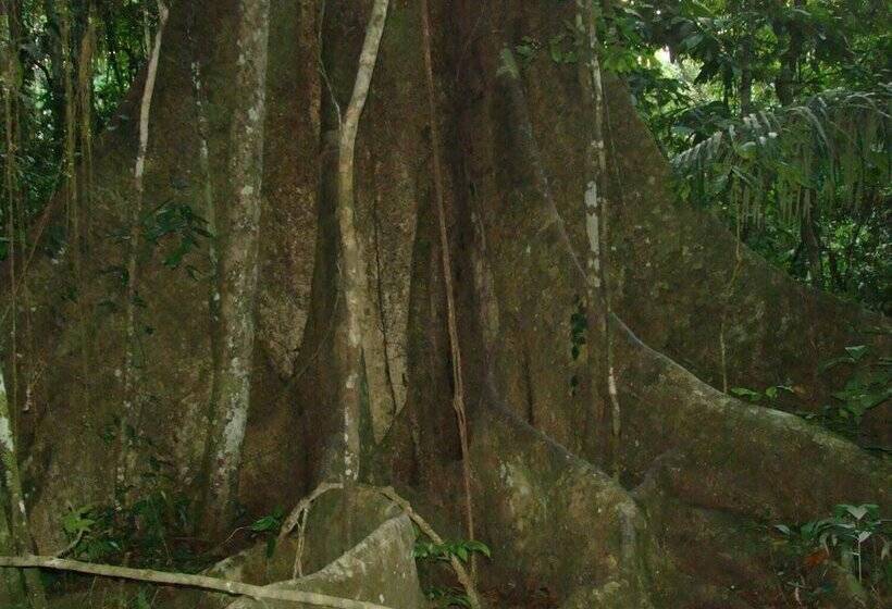 בית מלון כפרי Maloka Sandoval Lodge