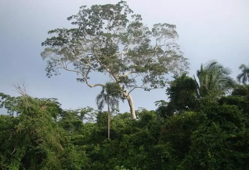 هتل Maloka Sandoval Lodge
