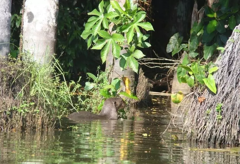هتل Maloka Sandoval Lodge
