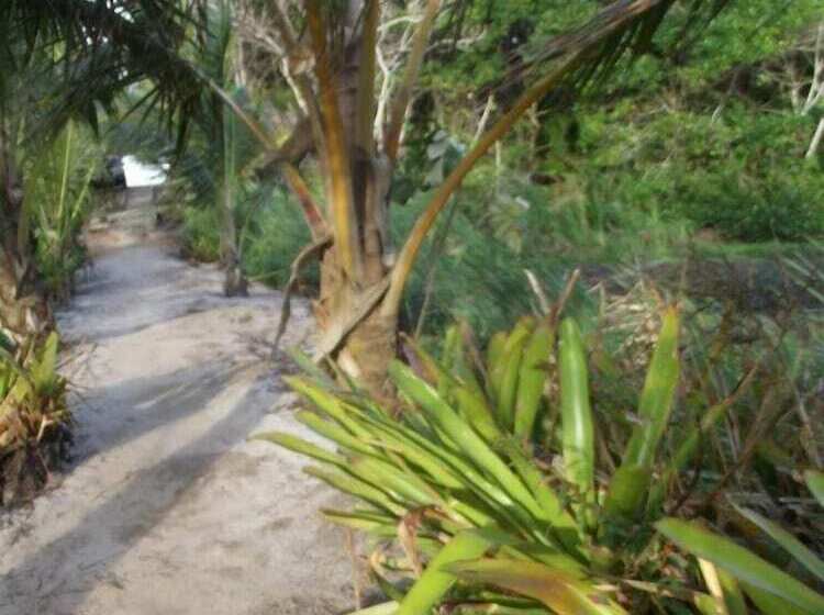 בית מלון כפרי Pousada Labella Monick