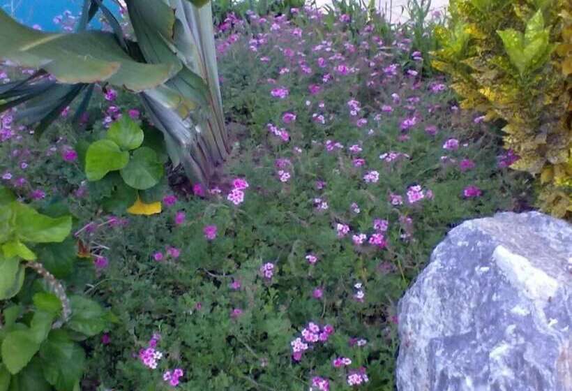 בית מלון כפרי Pousada Labella Monick