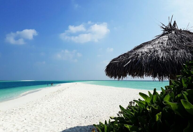 هتل Rasdhoo Sea View