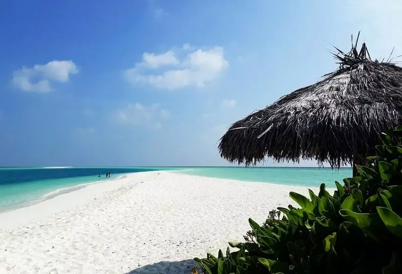 هتل Rasdhoo Sea View