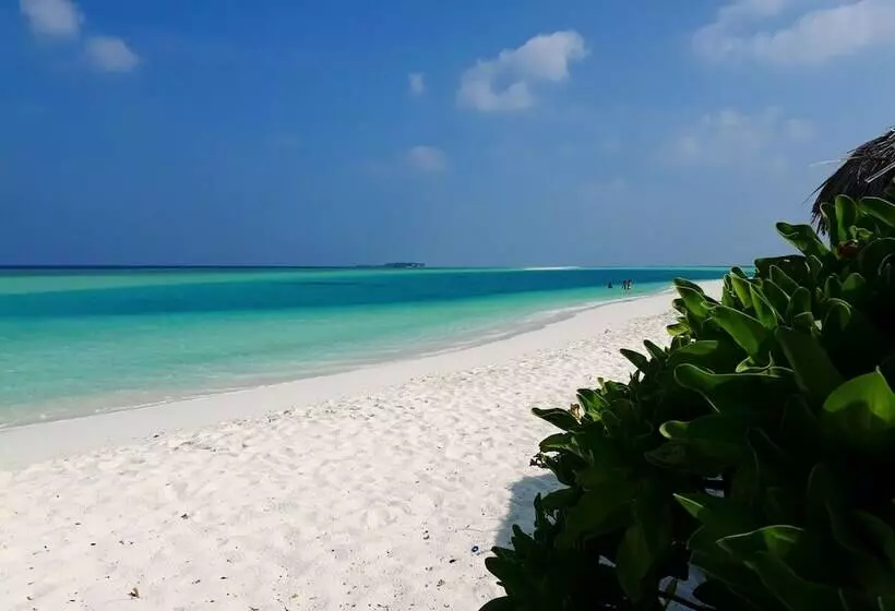 هتل Rasdhoo Sea View
