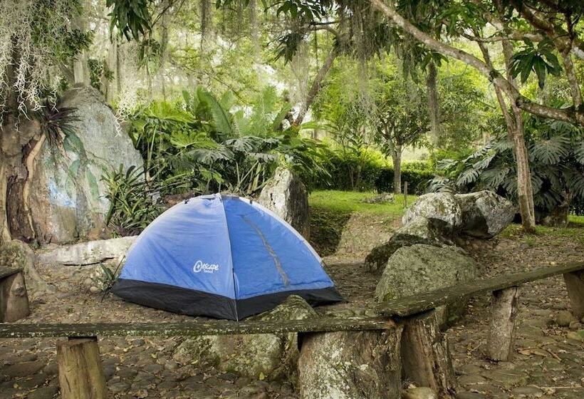 ホテル San Gil Del Campo