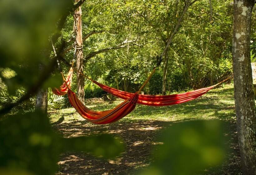 ホテル San Gil Del Campo