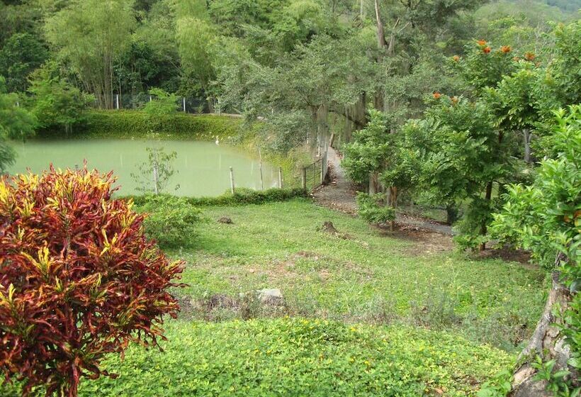 ホテル San Gil Del Campo