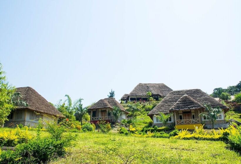 هتل The Baboon Safari Resort