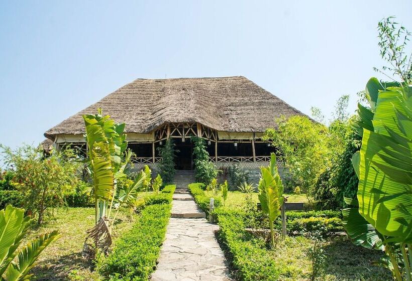 هتل The Baboon Safari Resort