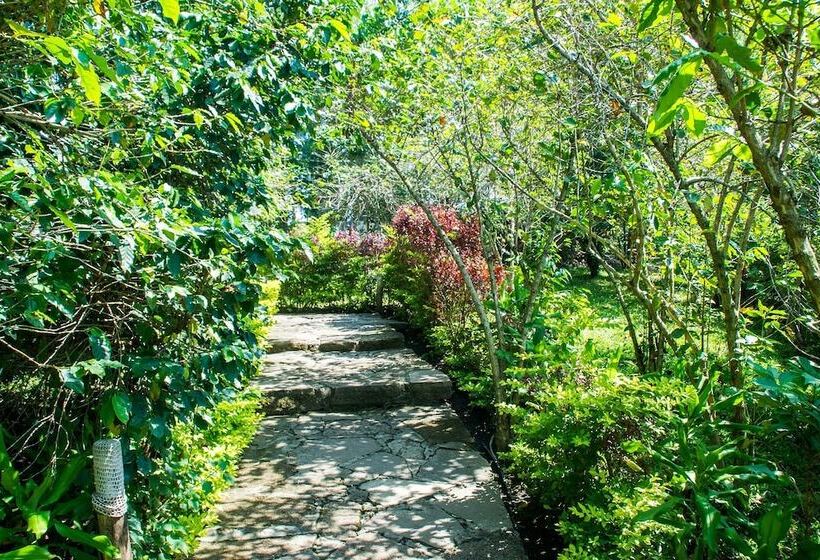 هتل The Baboon Safari Resort