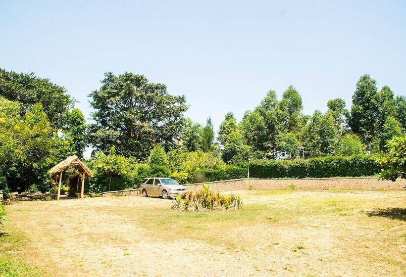 هتل The Baboon Safari Resort