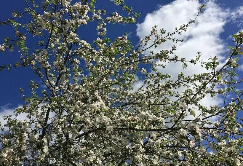 House On The Volga Zavidovo