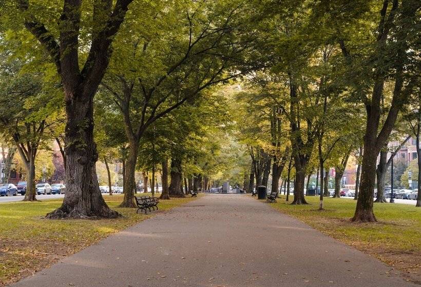 No. 284 Powered By Sonder