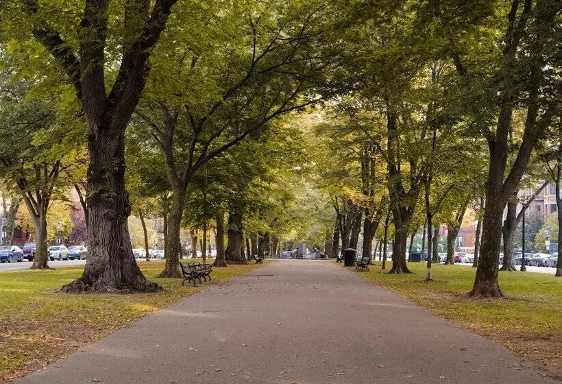 No. 284 Powered By Sonder