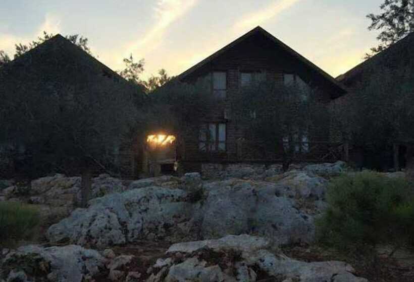 Olive Gardens Resort