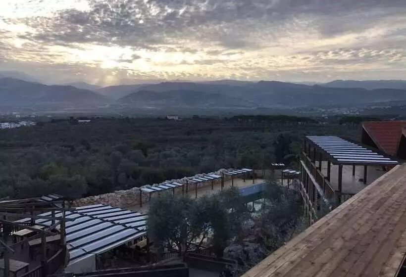 Olive Gardens Resort