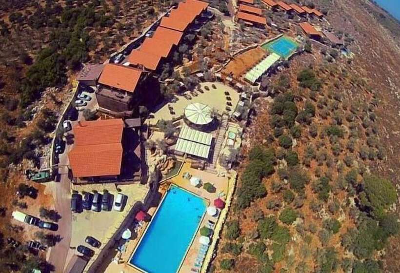 Olive Gardens Resort