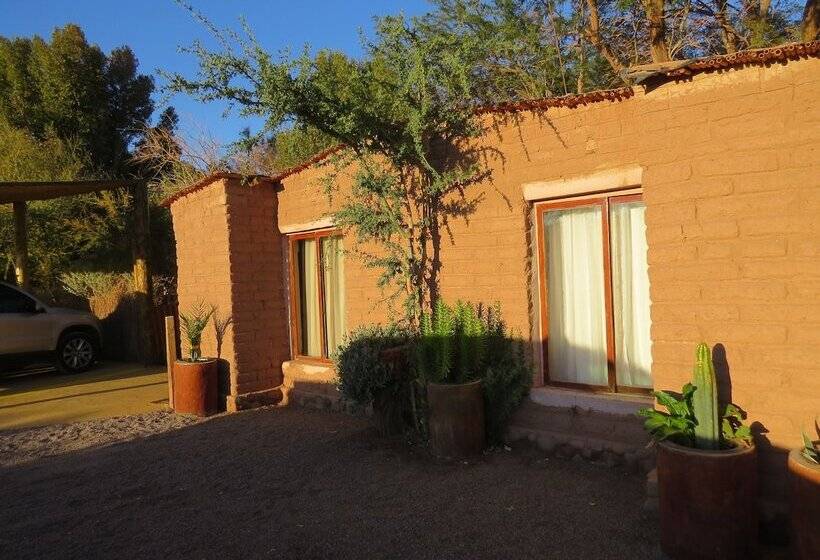 פנסיון Haramaksi