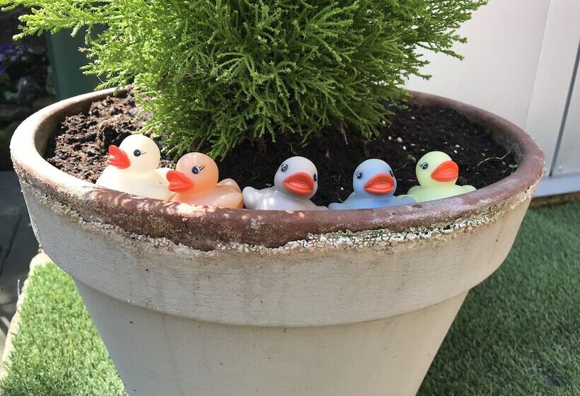 펜션 Number 61 Guest House And Tea Room