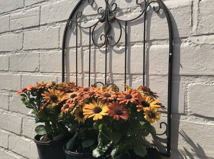 펜션 Number 61 Guest House And Tea Room